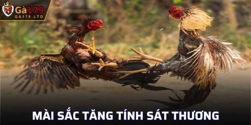 Đảm bảo độ sắc bén