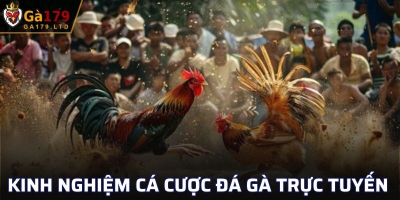 Kinh nghiệm tham gia cá cược trực tuyến lại sảnh đá gà