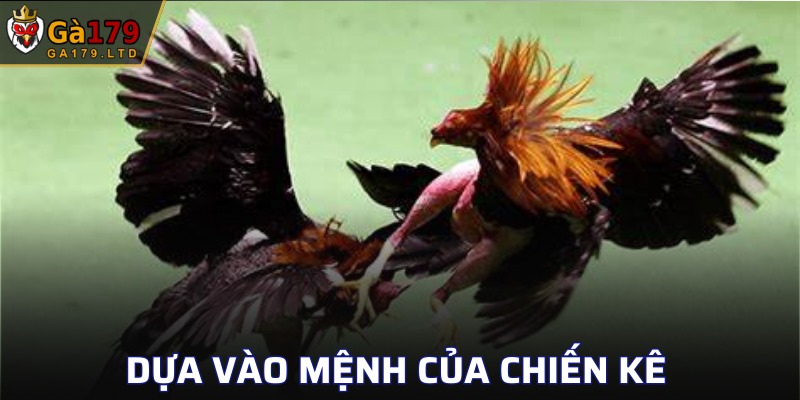 Xác định ngày thi đấu phụ thuộc vào mệnh chiến kê 